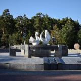Лебеди в парке Гагарина